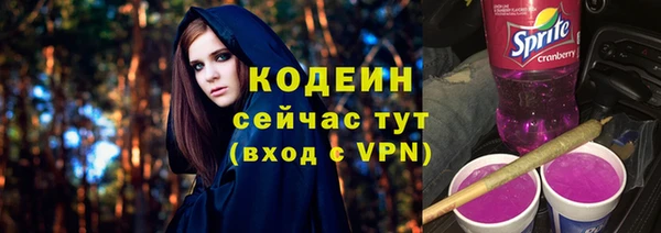 молекула духа Заводоуковск