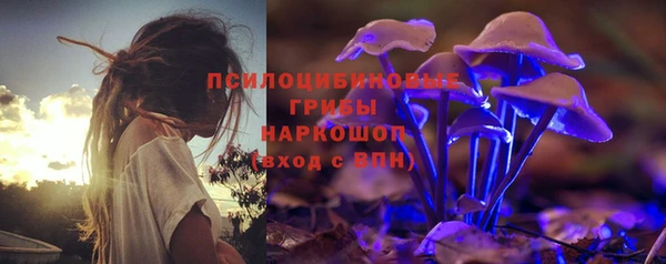 apvp Заволжск