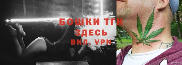 молекула духа Заводоуковск