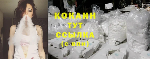 молекула духа Заводоуковск
