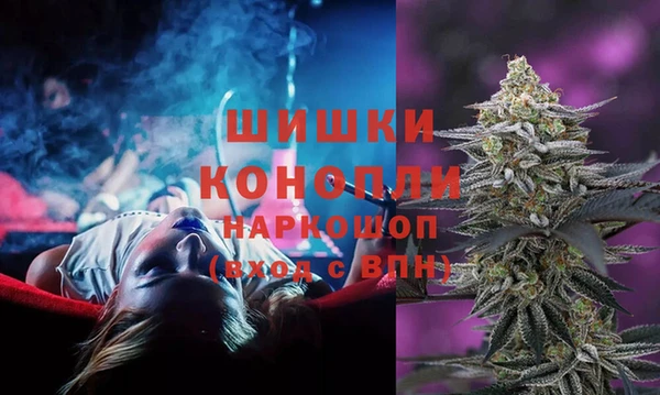 молекула духа Заводоуковск