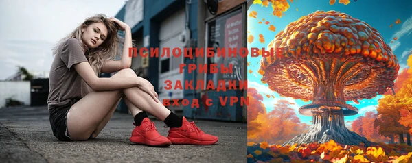 apvp Заволжск