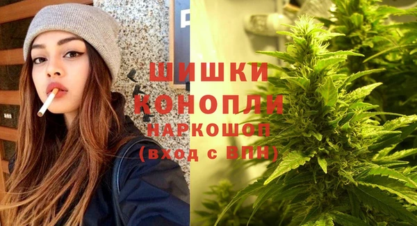молекула духа Заводоуковск