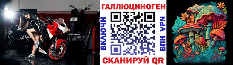 наркошоп  Злынка  Псилоцибиновые грибы Psilocybe 