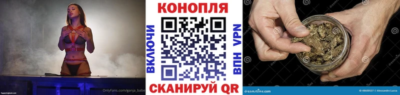 Бошки марихуана конопля  Злынка 